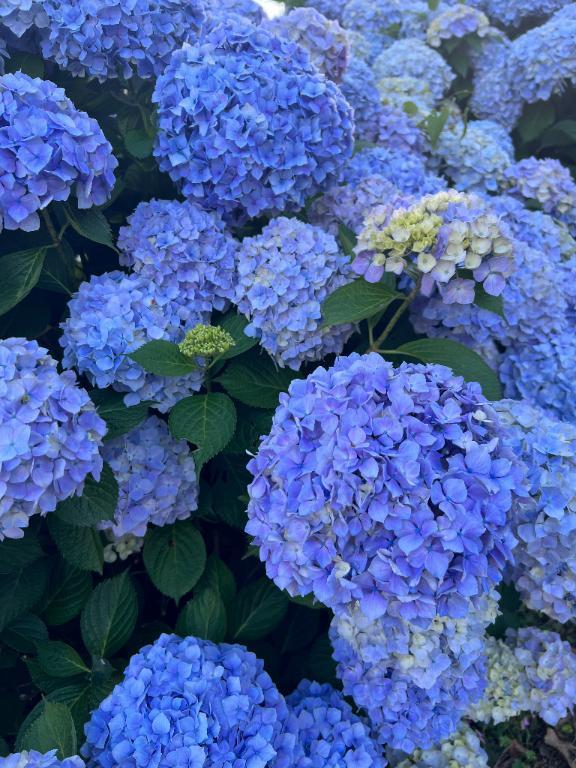 【お礼写メ日記】高菜あったかな様