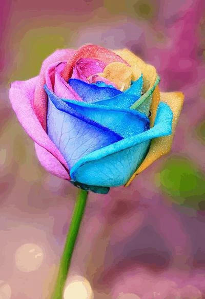 自分のペースで過ごしましょ💖