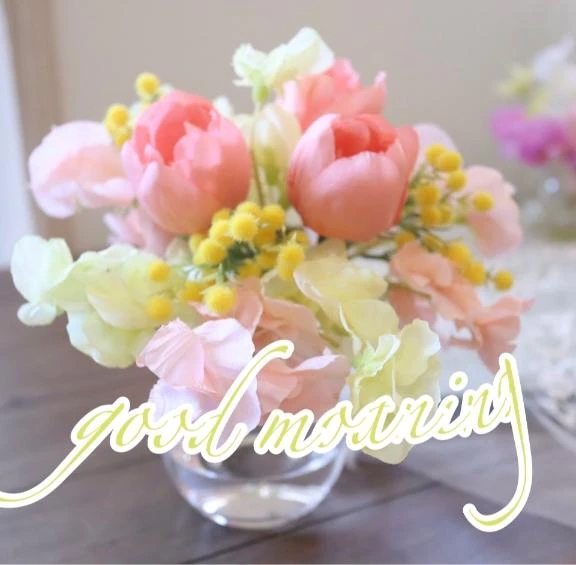 おはようございます(  ¯꒳​¯ )ᐝ