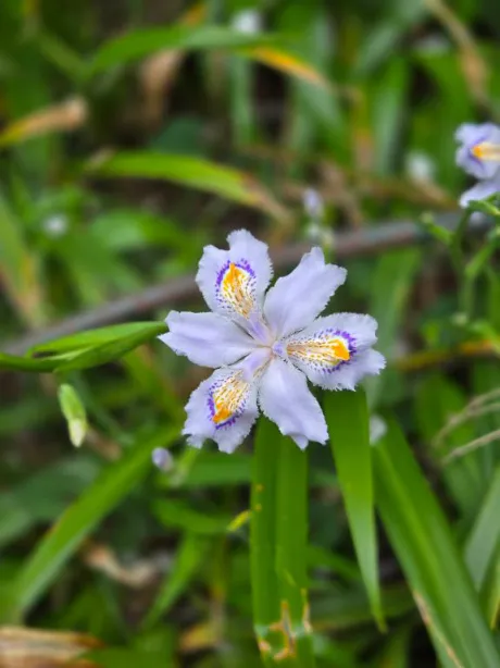 ランプライベートレッスン