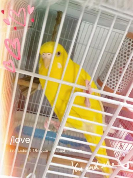 お休み(᎔˘꒳˘᎔)/しおり