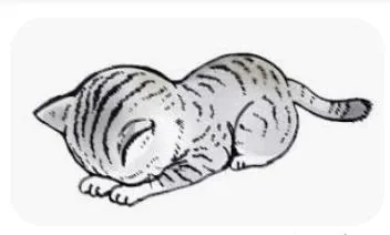 あかりのブログ こんにちは🙇
