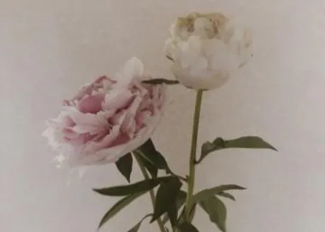 待機/藤田ますみ
