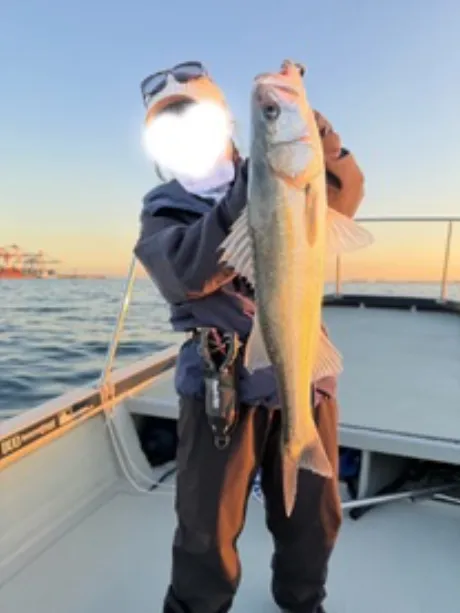 ツムギ【青森】身体弄んでみる？DINO～ディーノ～