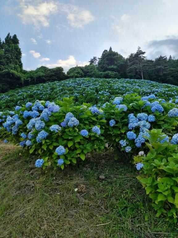 今から