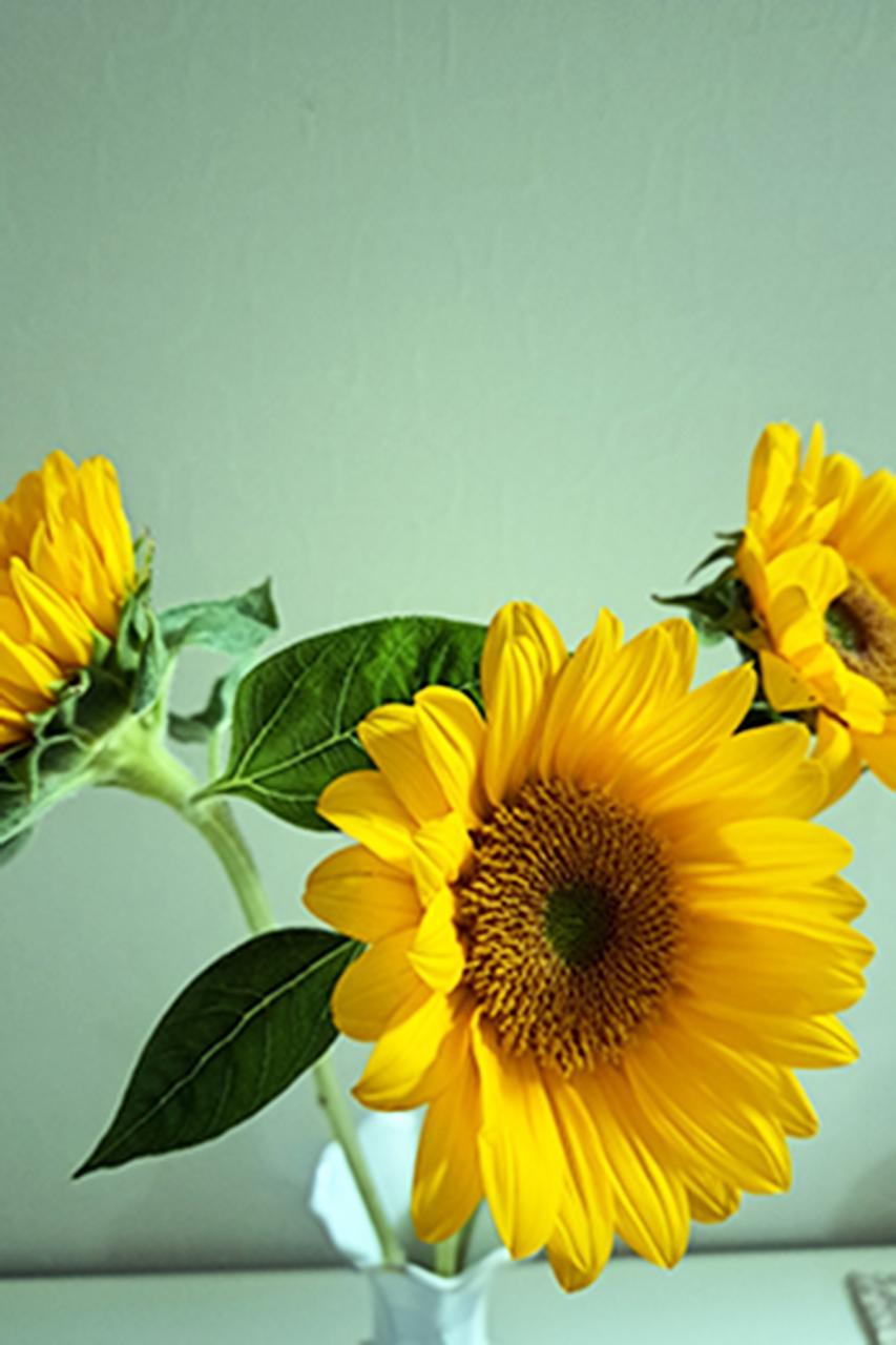 終了です♡/あや