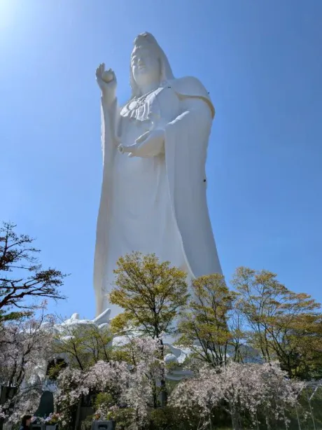 今日は🩷/あい