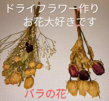 つばき【青森】嗚呼45歳以上 青森店