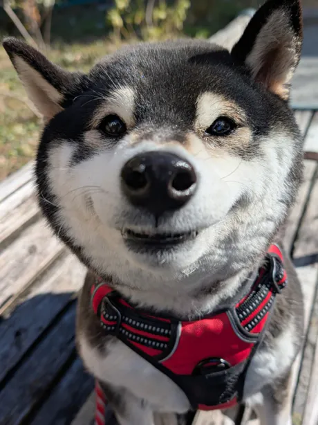 ありがとう (*^^*)/なお