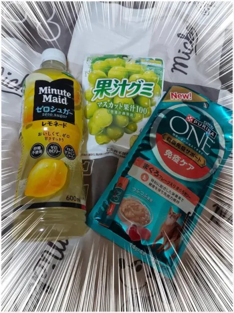 レミ奥様生レンタル-古川店-