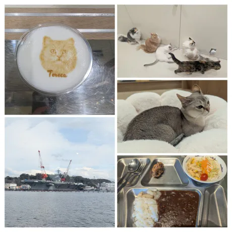 IN 横須賀 🚢✨/サキ(青森・弘前出勤)