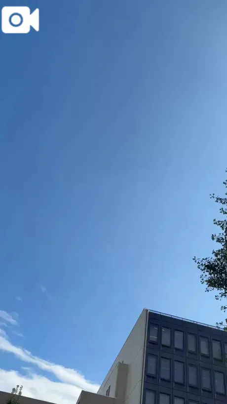 気持ちの良い🌱/あず