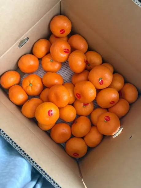 出勤します/なゆ