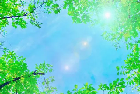 おはようございます/そら