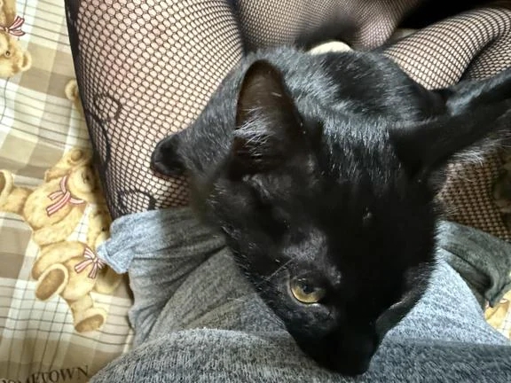 待機戻りました！