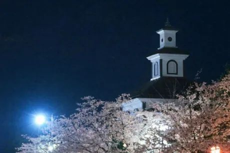 ミクONE NIGHT-ワンナイト-