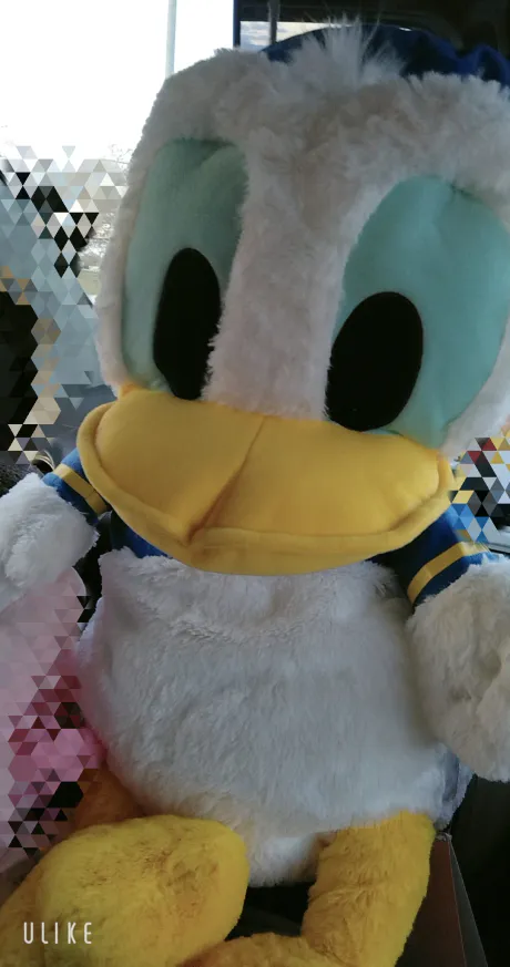 Newりか【弘前】(A舐め・AF可)ビート