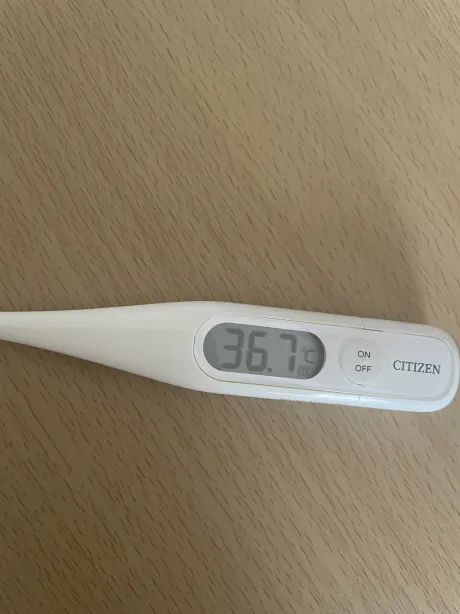 おはようございます/もえ【青森大釈迦】