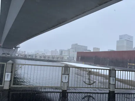 🙇 長いお休みを頂き、有り難う御座いました 🙇/あずさ[業界初/青森]