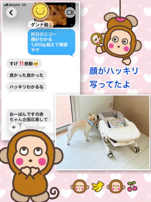よしえ 奥様仙台人妻セレブリティー