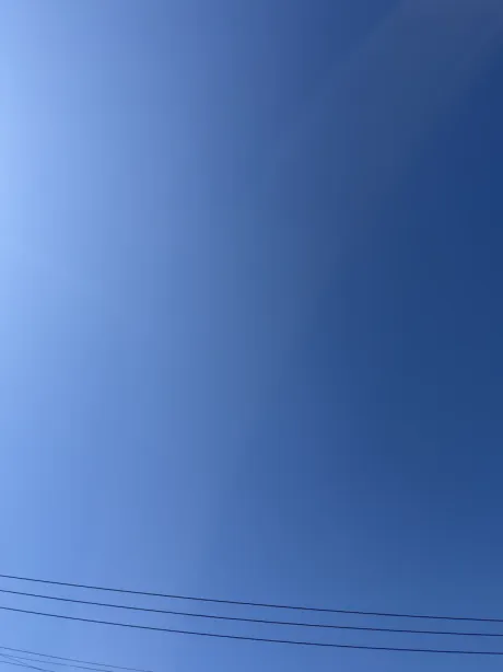 ナコのブログ こんにちは ❣️