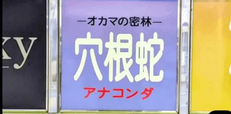 ルイ奥様生レンタル-古川店-