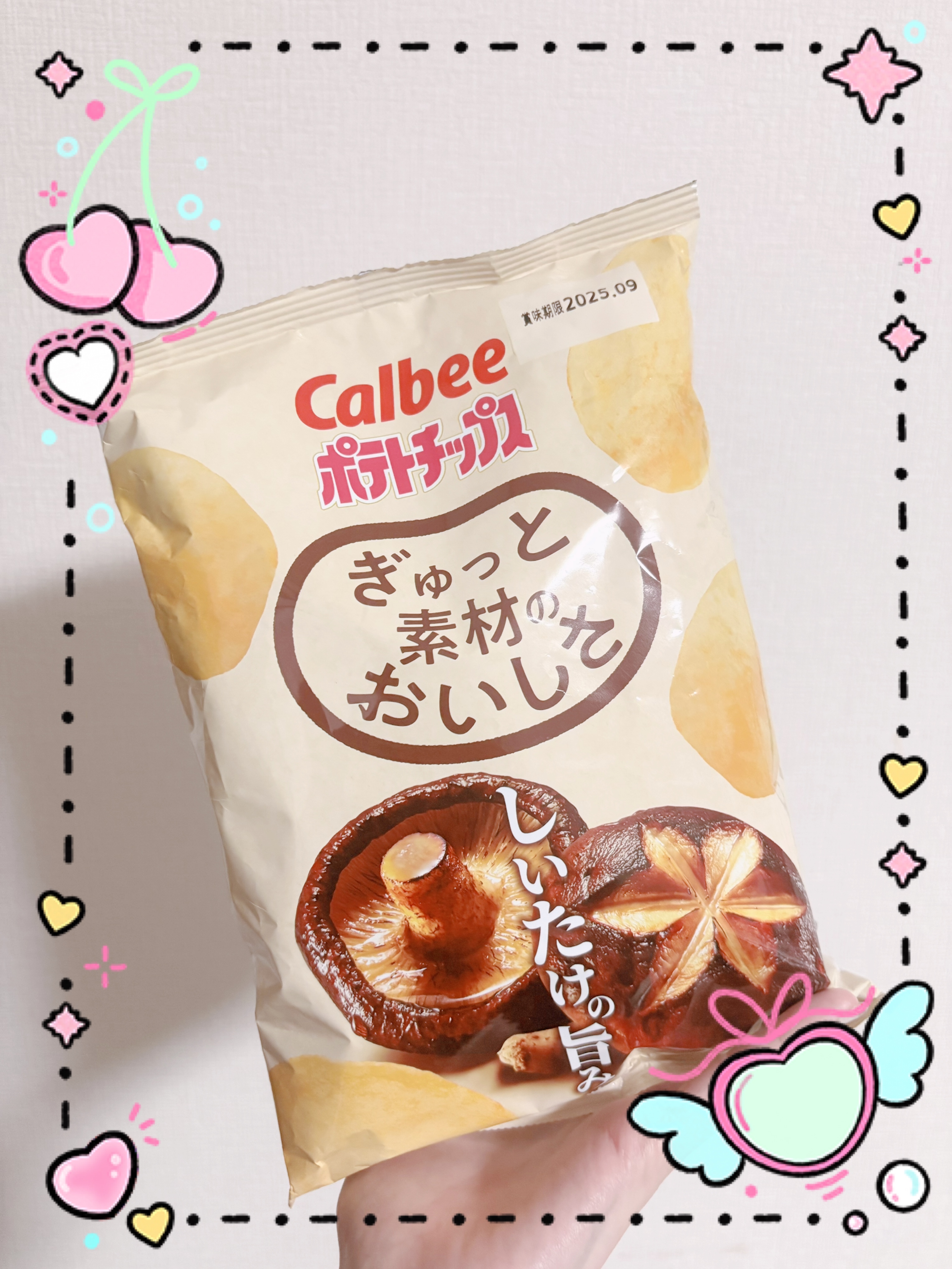 しいたけ🍄