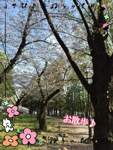 つむぎ奥様メモリアル