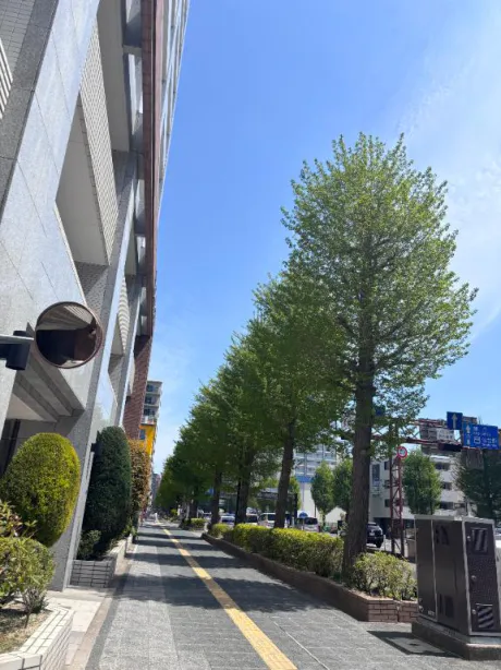 新人かやのブログ 出勤しました♪