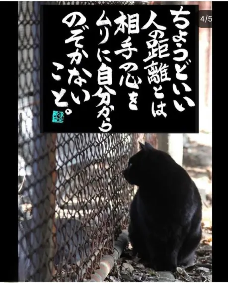 シオン人妻生レンタルーNTRー