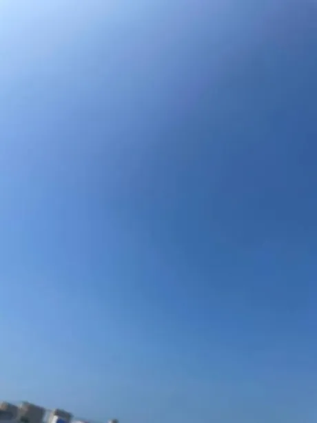 おはようございます☀️