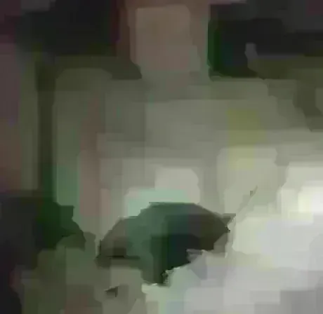 久しぶりだよ