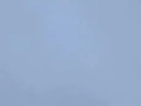 出勤しました/タエ