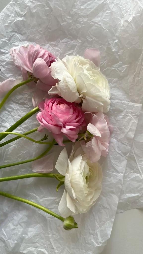 向かってます♡
