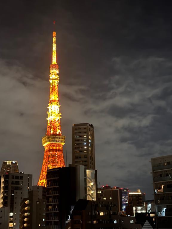 綺麗な🗼