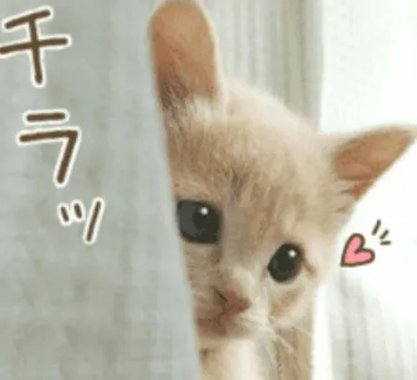 まゆみ★清楚系しっぽり熟女隣の人妻お口で愛して