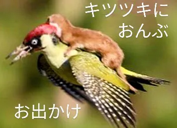 みき63歳【青】熟女専門店
