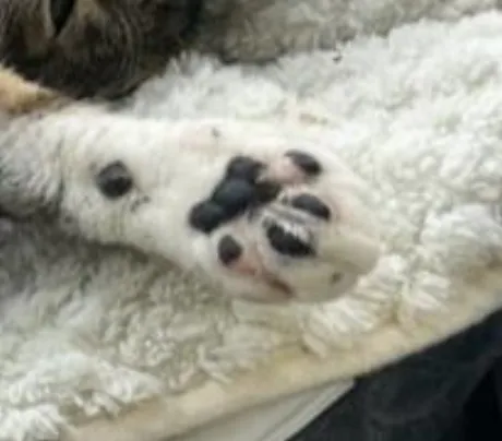 みなみ奥様メモリアル