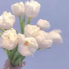 向かっております🚗/新人・乙(おと)