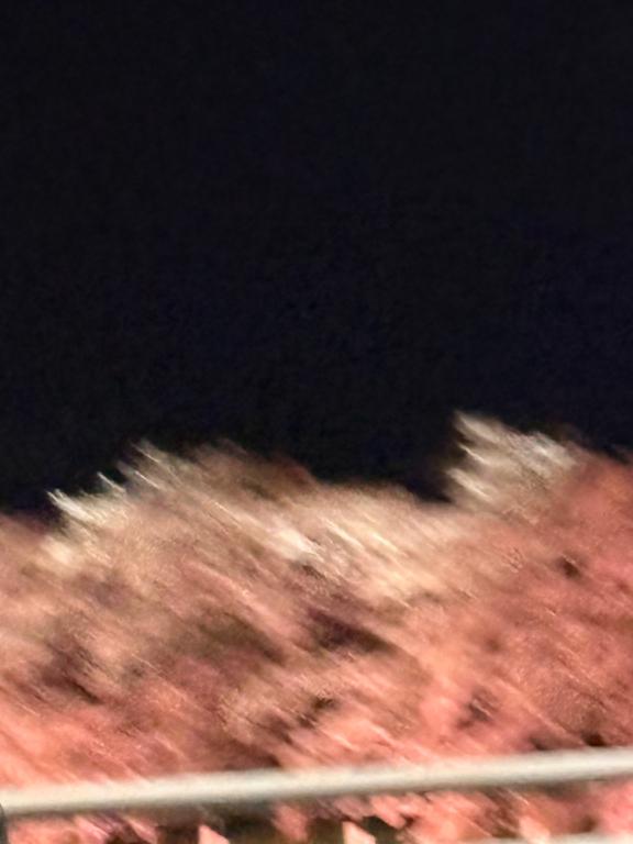 今日もありがとうございました🫶🏻/新人ツムギ