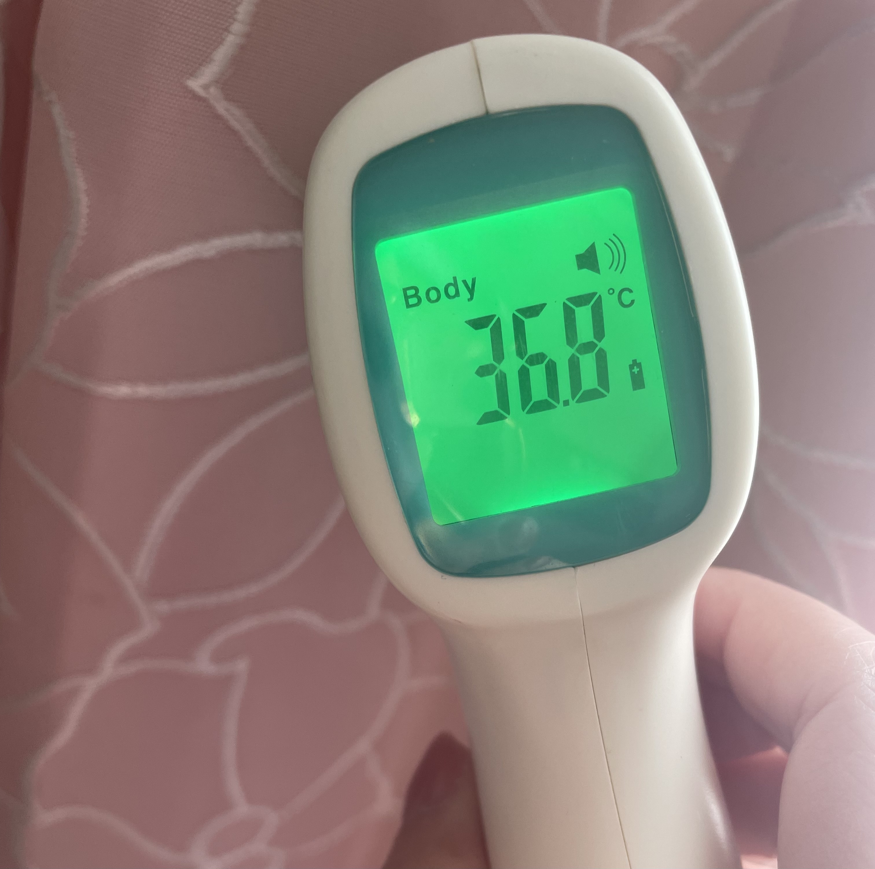 今日も/もえ【青森大釈迦】