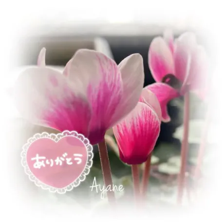 あやね奥様鉄道69　仙台店