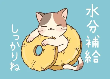 こんにちは！/久美子