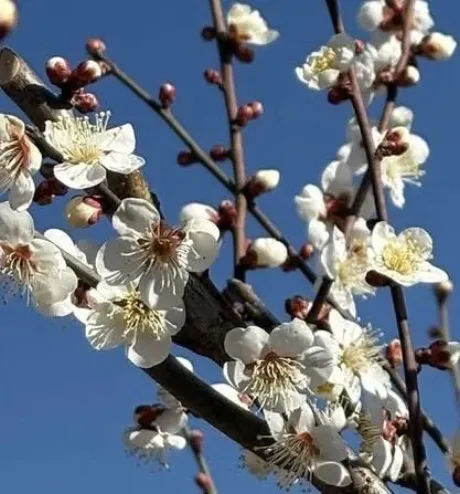 みずほ人妻の楽園