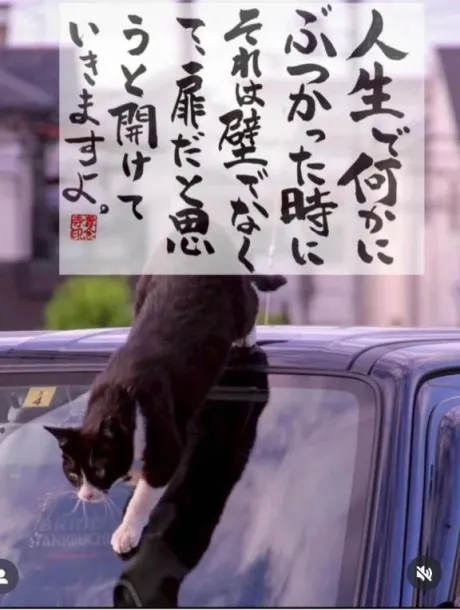 シオン人妻生レンタルーNTRー
