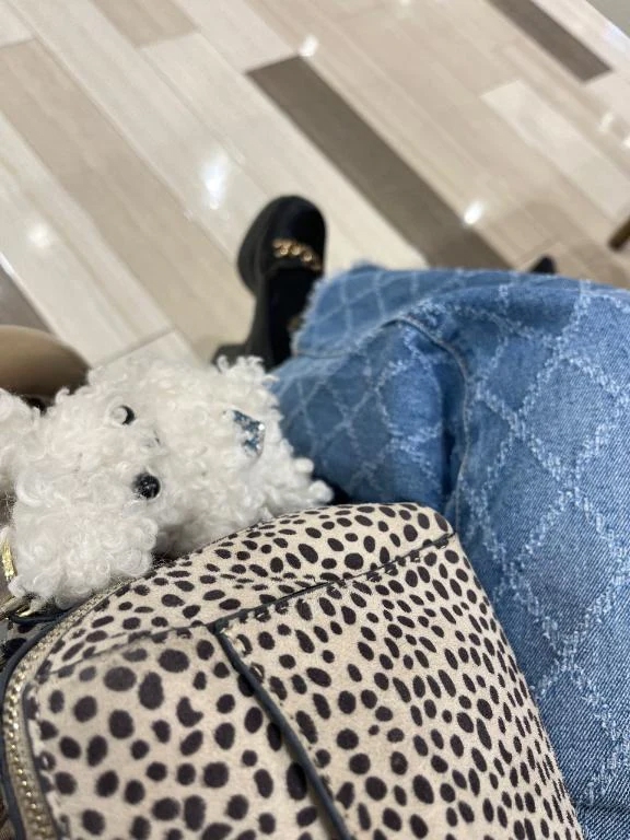 どーこだ❤️