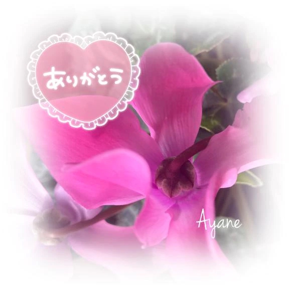 お声ありがとう♪