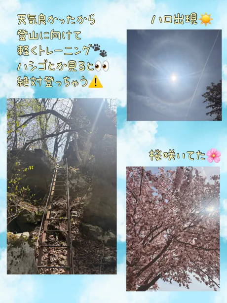 まいさん[青森]12日弘前MIMOSA