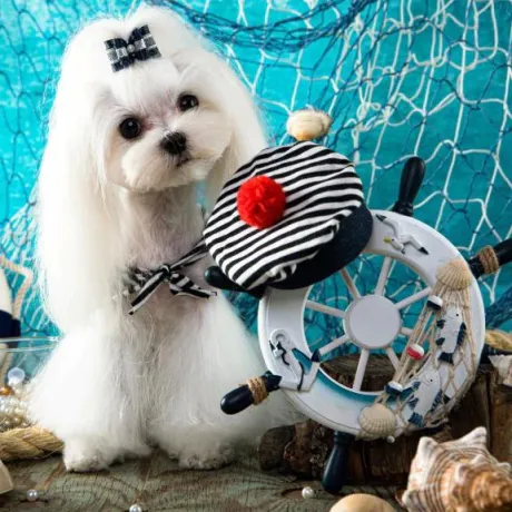 ゆり即プレイ専門店　性の極み