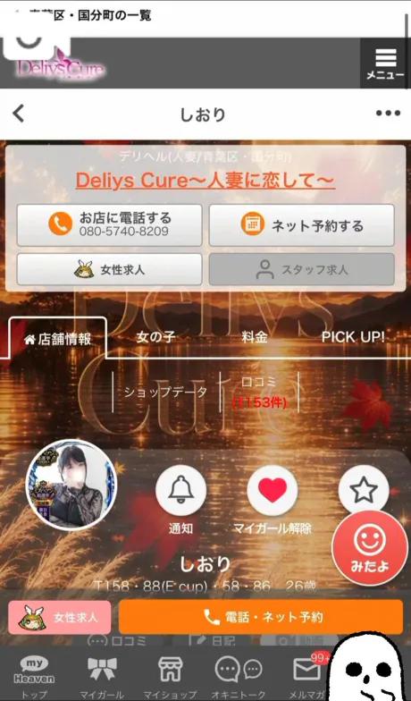 投票方法🗳🗳/しおり